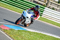 enduro-digital-images;event-digital-images;eventdigitalimages;mallory-park;mallory-park-photographs;mallory-park-trackday;mallory-park-trackday-photographs;no-limits-trackdays;peter-wileman-photography;racing-digital-images;trackday-digital-images;trackday-photos